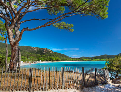 Plage de Palombaggia sud Corse