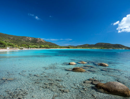 Plage de Palombaggia Porto-Vecchio