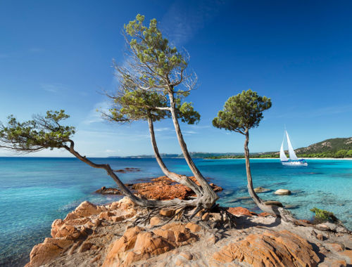 Magnifique Plage de Palombaggia