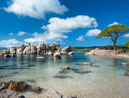 Plage de Palombaggia à Porto-Vecchio sud Corse