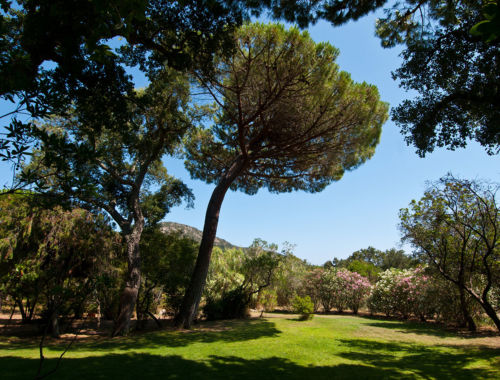 parc dans résidence à Palombaggia Porto-Vecchio